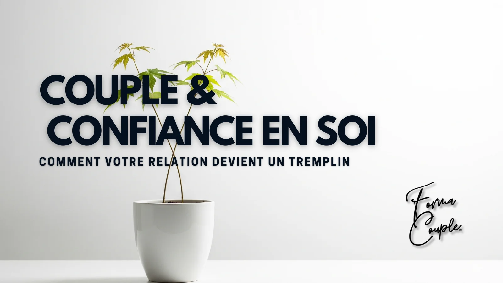 Une plante solitaire et robuste dans un pot design, illustrant comment la confiance en soi peut s'épanouir dans une relation saine.