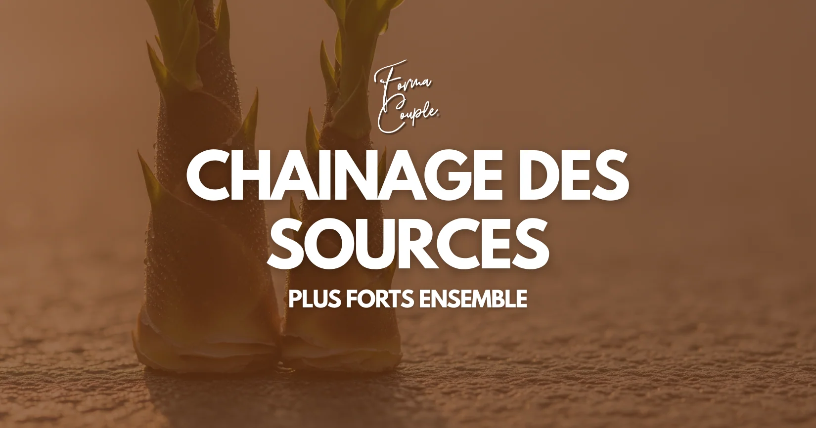 Illustration des sources de l'article